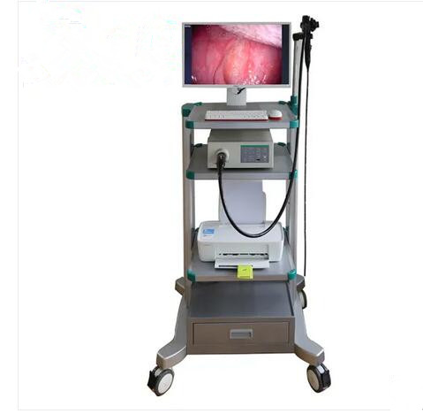 Veterinary Video Gastroscope 